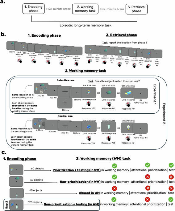 Processing in working memory boosts long-term memory representations and their retrieval