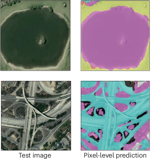 Advancing Earth observation with a multi-modal remote sensing foundation model