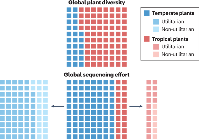 Plant genome sequencing needs to go tropical
