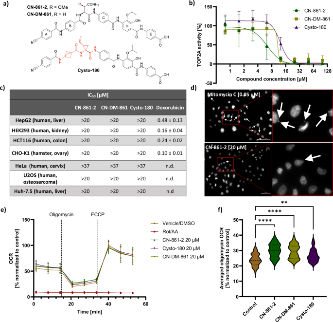 Cystobactamid off-target profiling reveals favorable safety, superoxide reduction, and SCARB1 inhibition in eukaryotes