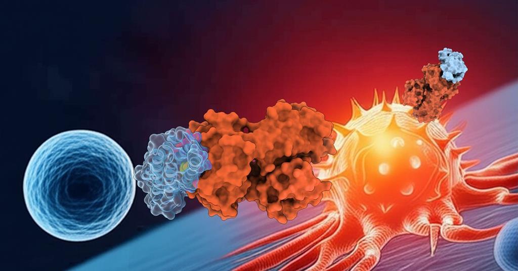 AI tools turned to creating designer proteins for personalised cancer therapies and antibiotics | Research