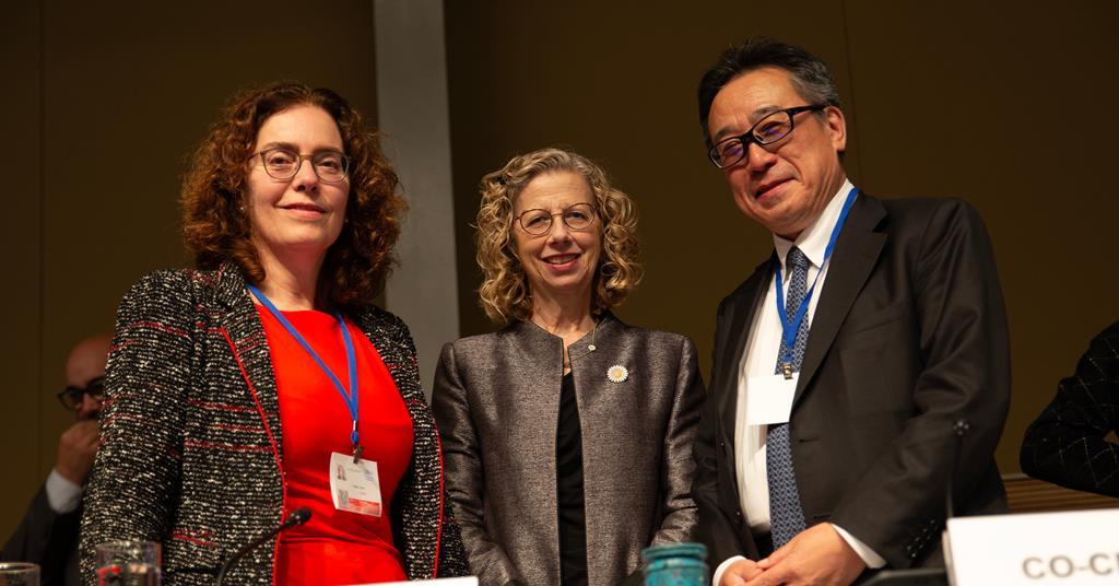 Intergovernmental panel on chemicals, waste and pollution needs diverse input | Opinion