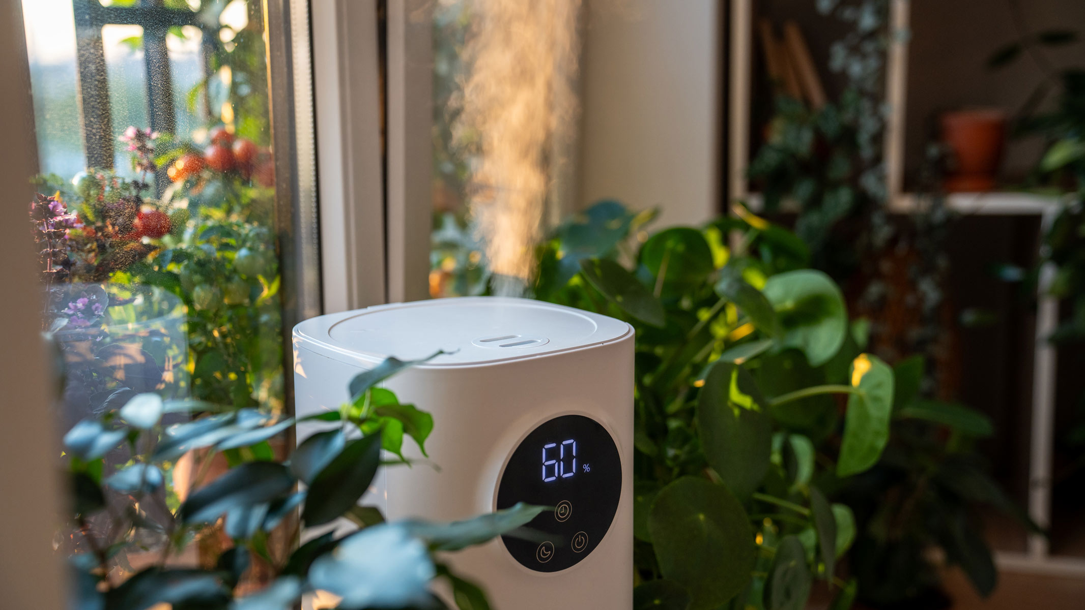 How to choose a humidifier — our knowledge from years of testing