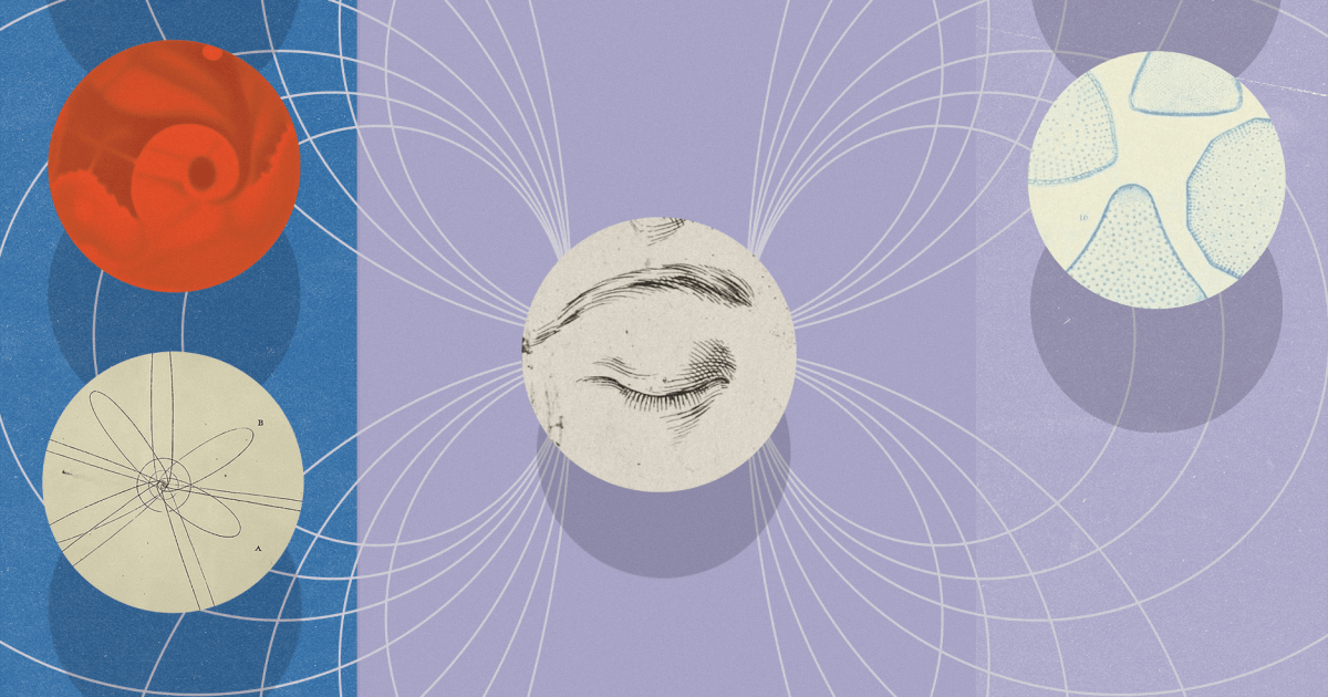 6 questions about consciousness with Annaka Harris