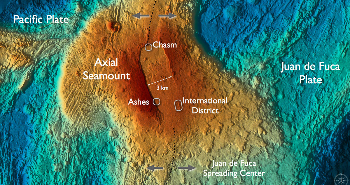 Underwater volcano off Oregon coast could erupt by the end of the year, researchers say, but nothing ‘looks imminent’