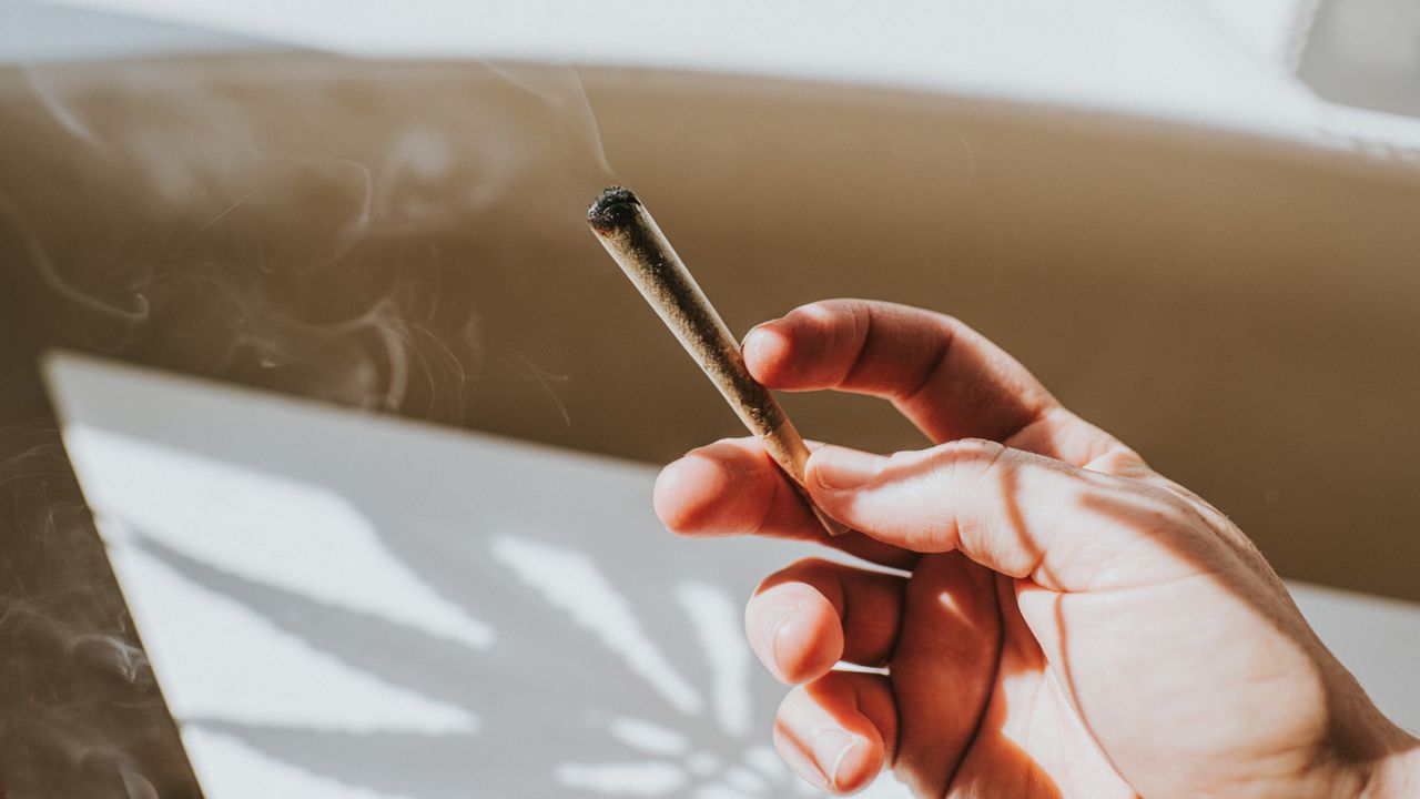 Does cannabis raise the risk of cancer?