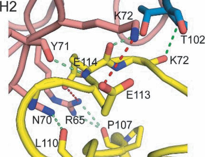 An epitope vaccine derived by analyzing clinical trial samples safeguards hosts with prior exposure to S. aureus against reinfection | Science Translational Medicine