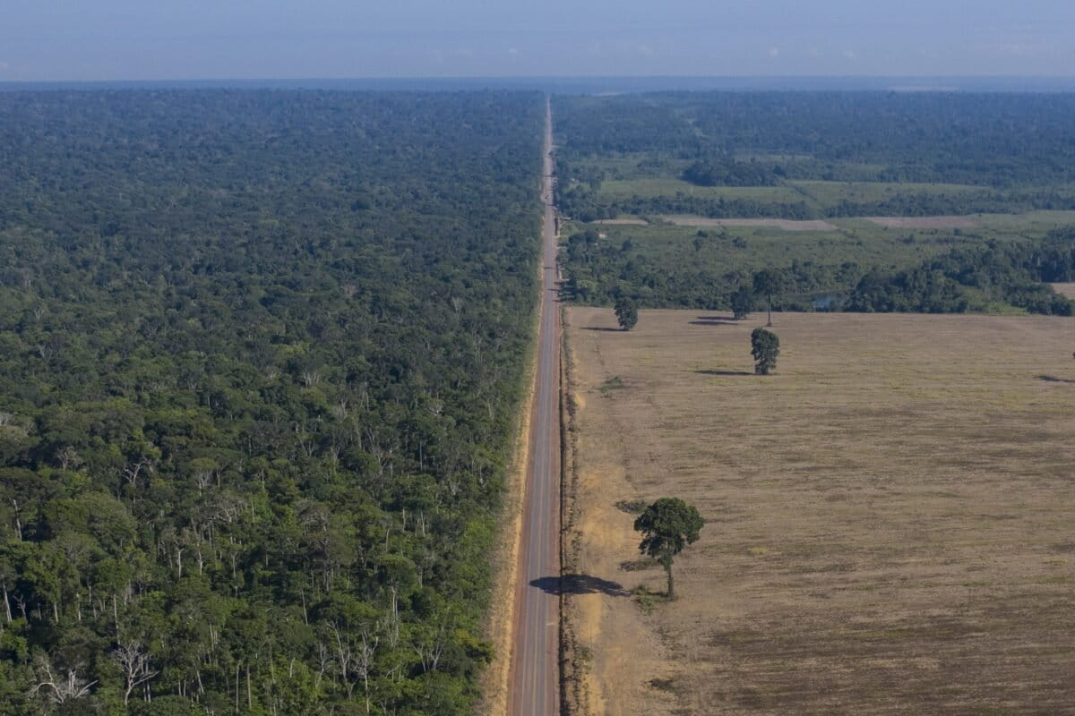 Brazilian court restores Amazon soy moratorium, for now