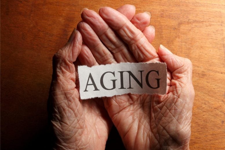 Leading Scientists Rethink How Medicine Can Approach Aging