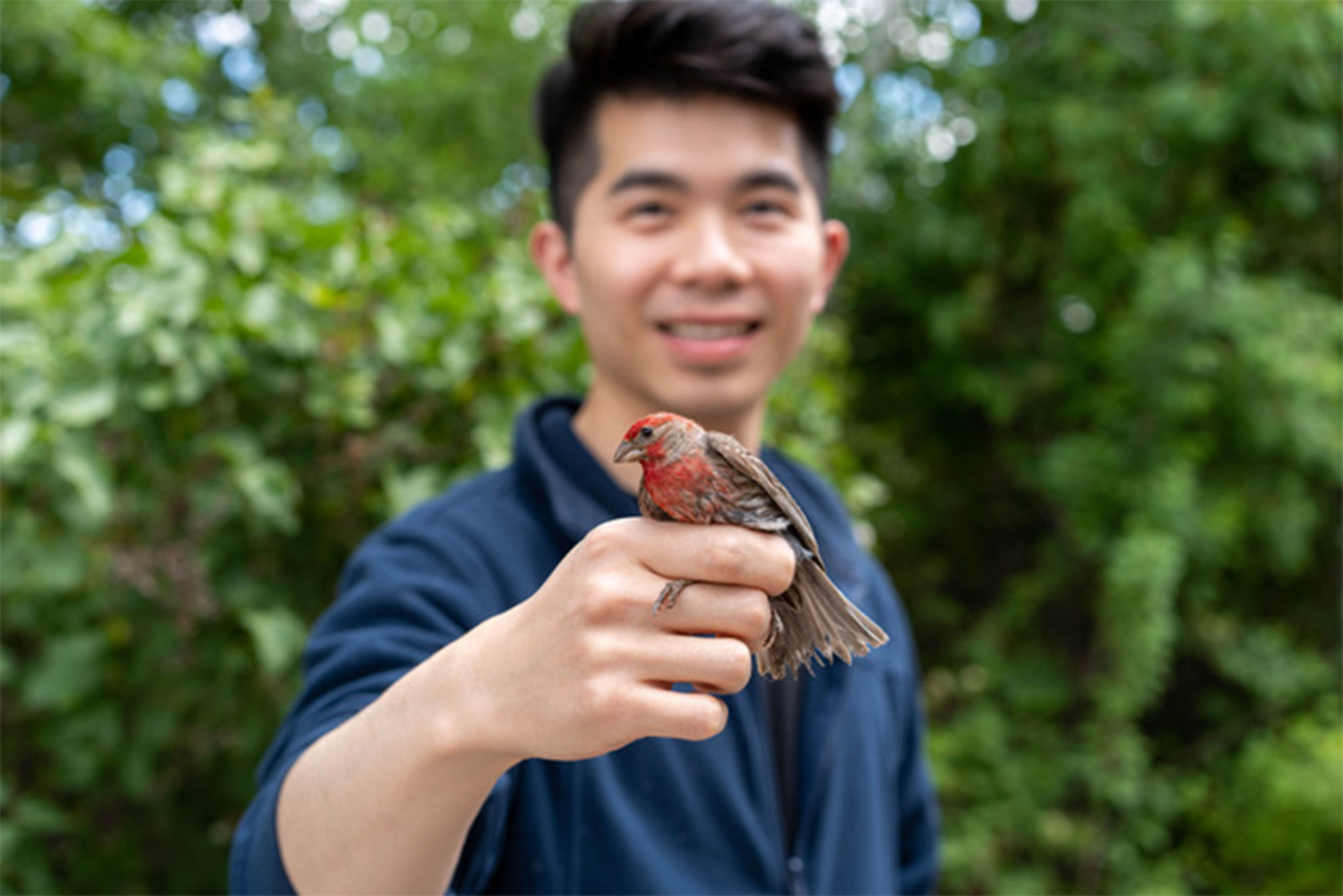 What prompts genetic adaptation? Ask a finch. — Harvard Gazette