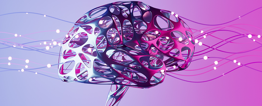 A Distinct Pattern Emerges in The Brain Activity of People With OCD : ScienceAlert