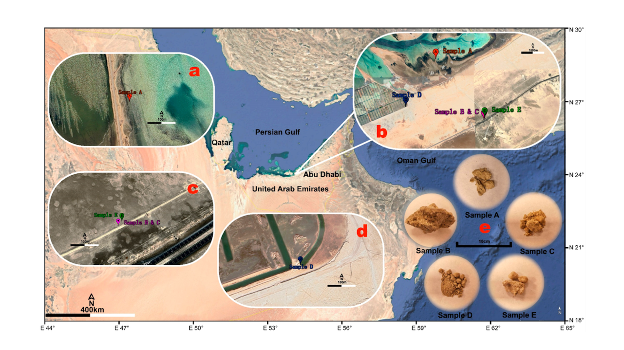 Comparing Protein Stability in Modern and Ancient Sabkha Environments: Implications for Molecular Remnants on Ancient Mars