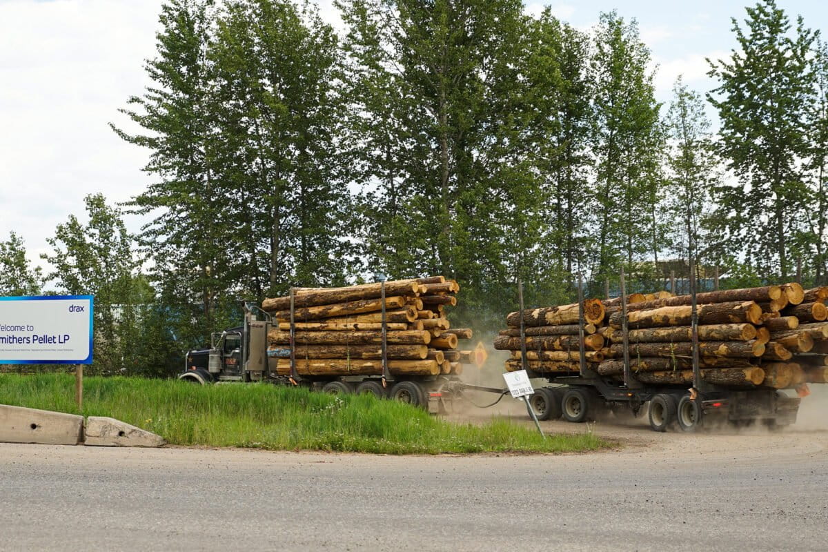 Sustainable biomass certification scheme is flawed, degrades forests, report finds