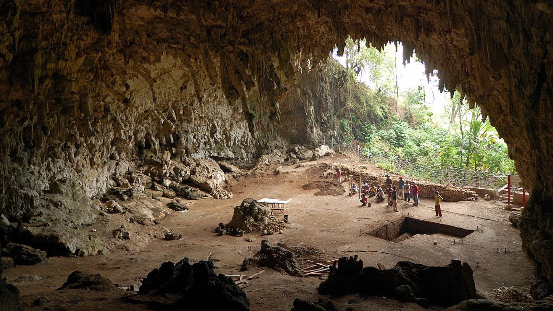 1.04 million-year-old tools reveal bold sea voyage by extinct humans