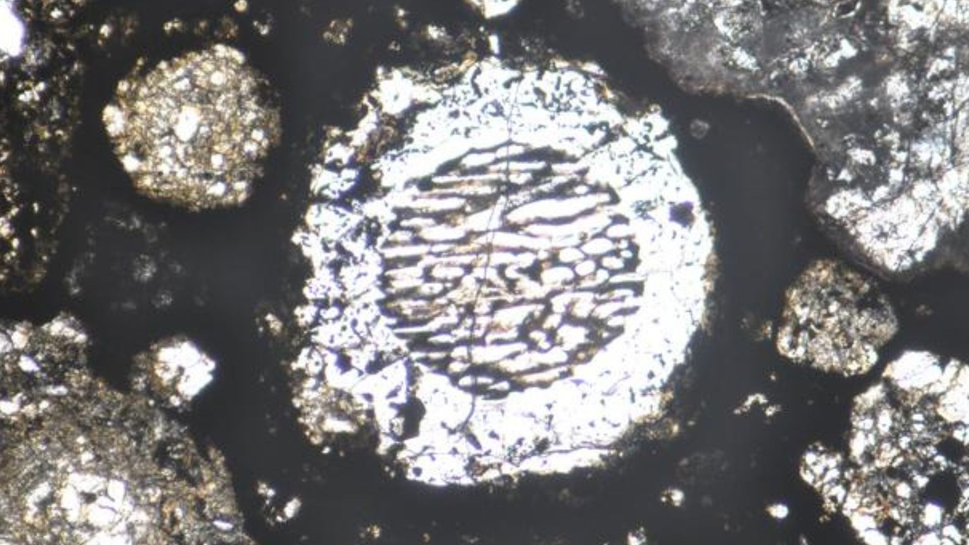 Molten droplets in meteorites help date Jupiter’s planetary birth