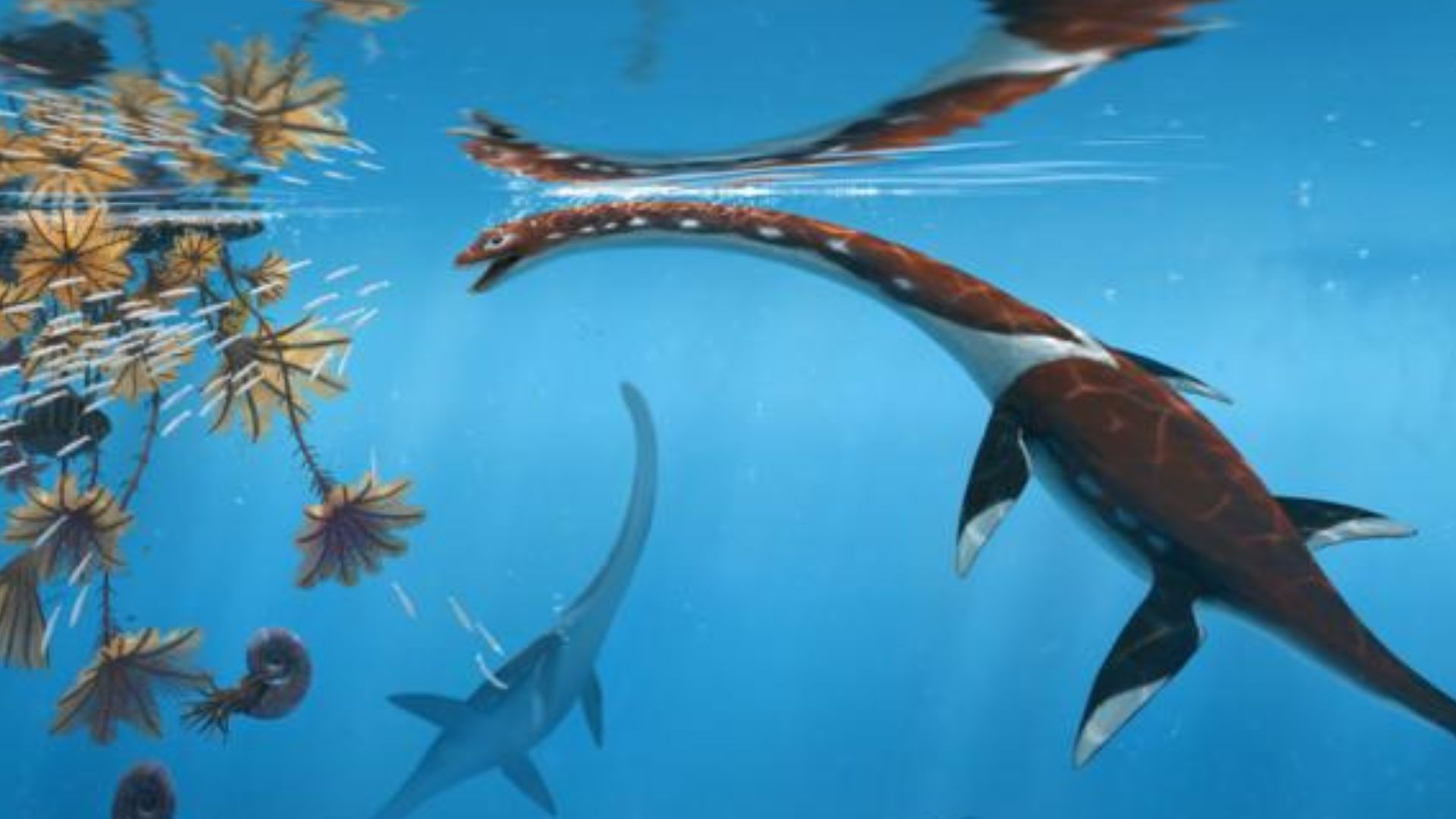 183-million-year-old sea monster found hiding in German fossil bed