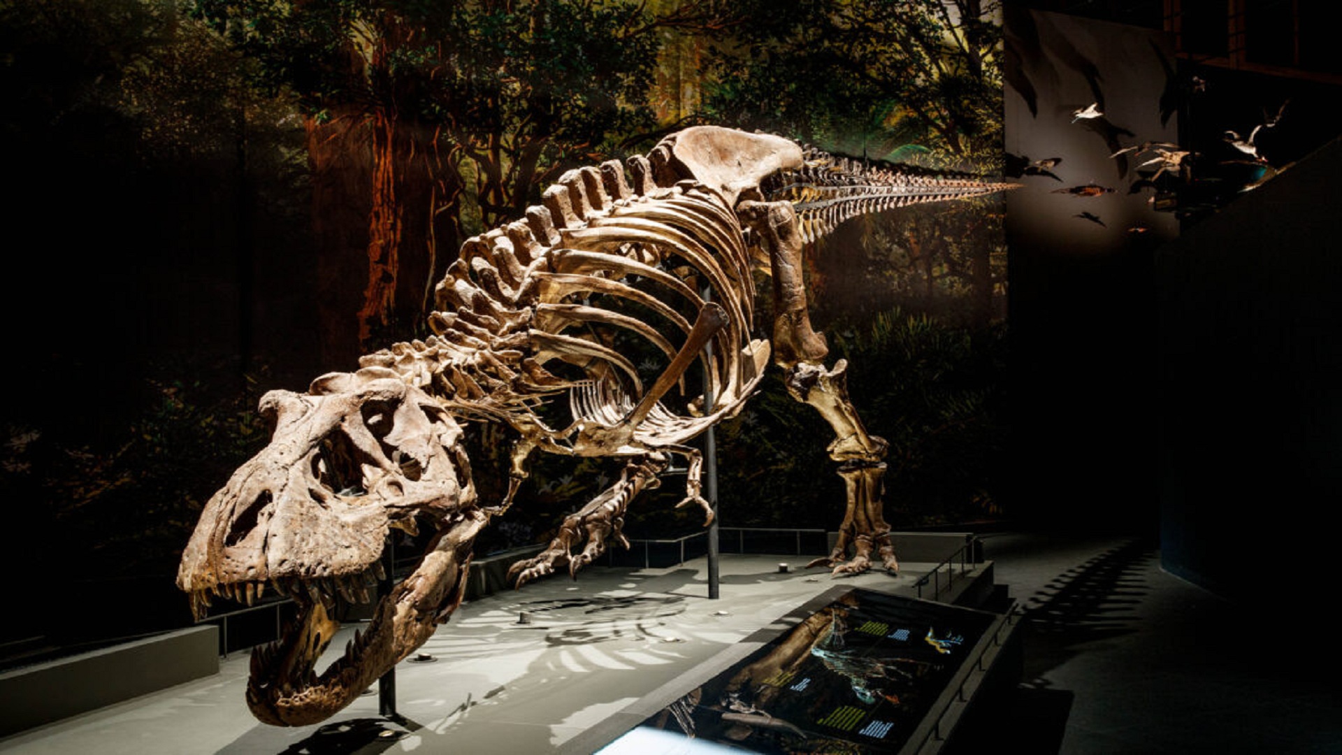 Prehistoric air recreated using dinosaur teeth for the first time
