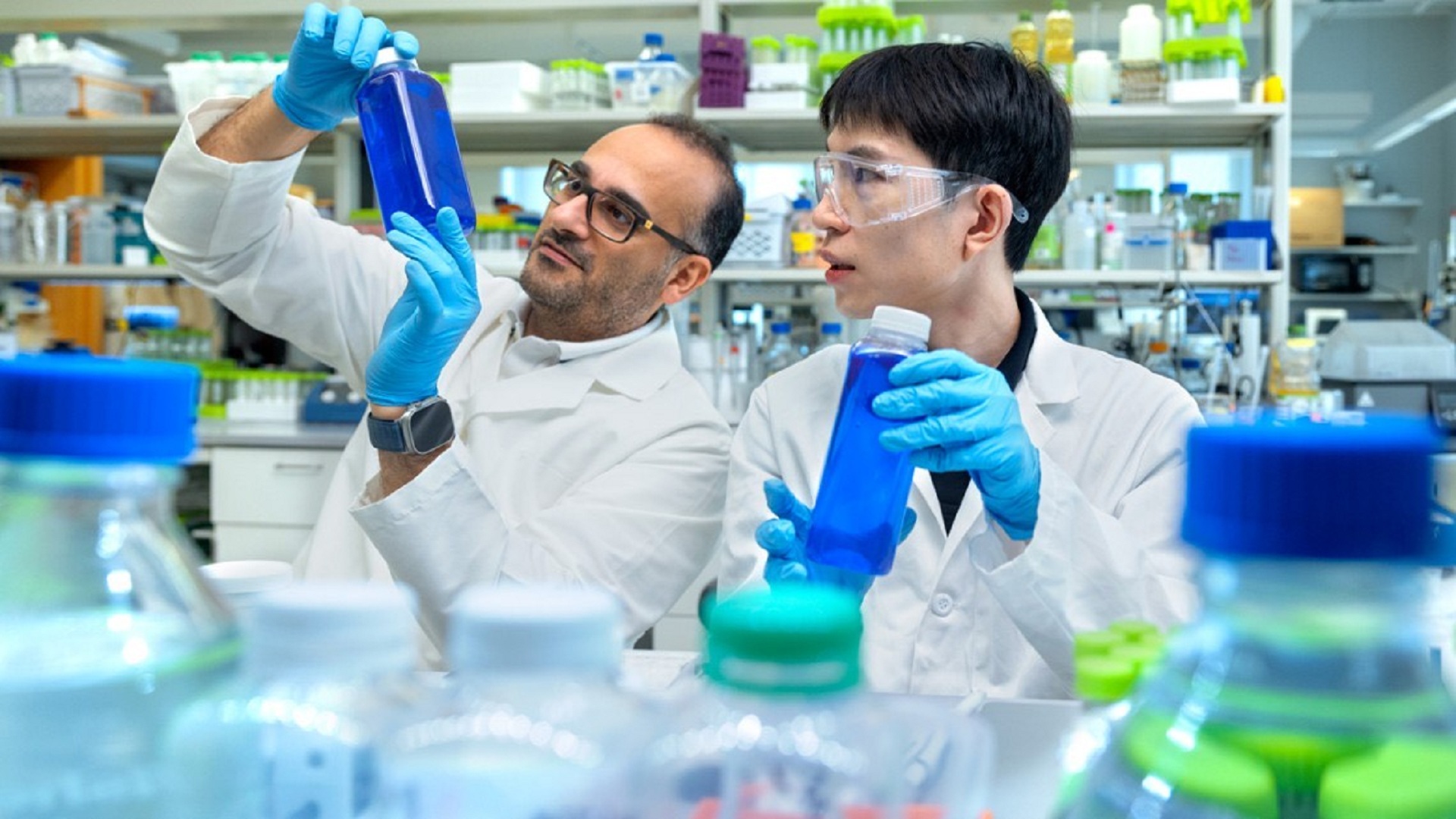 New algae-based blue dye could replace synthetic food colorant