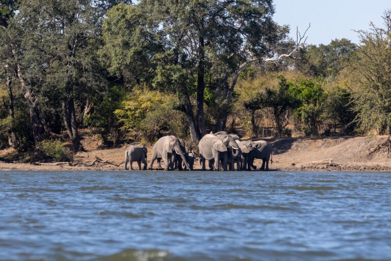 Kafue River Transect