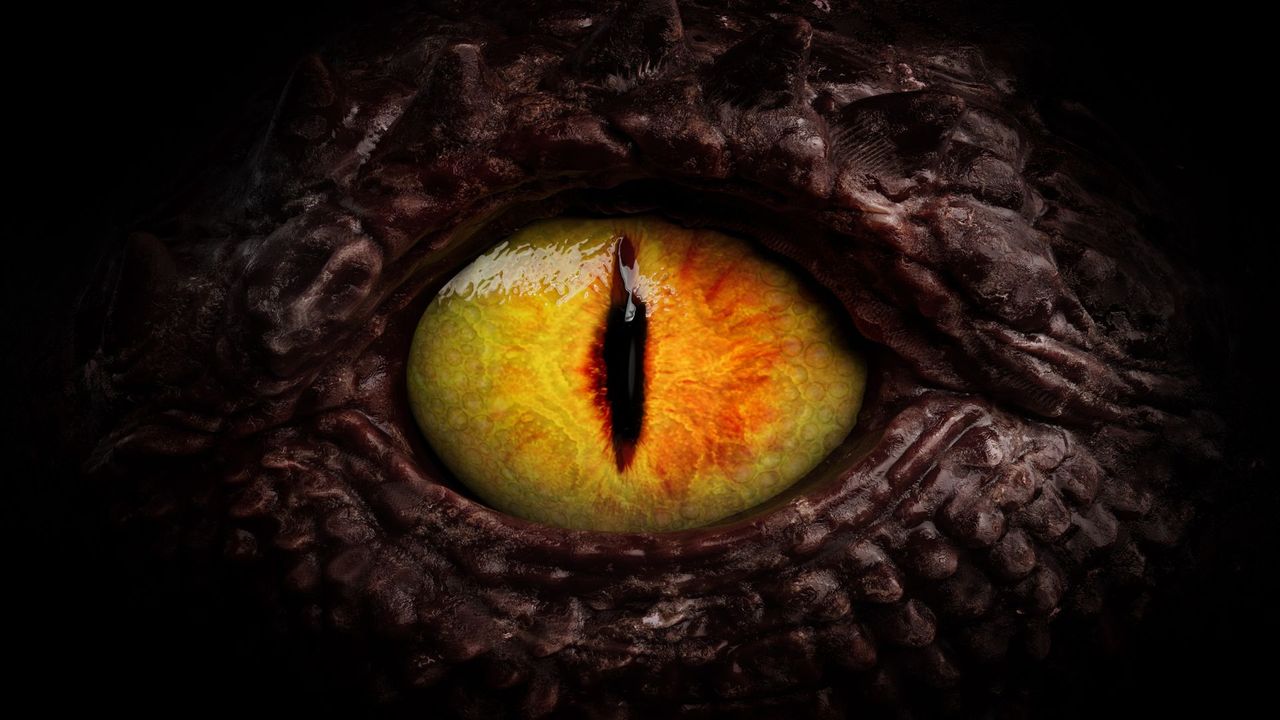 Diagnostic dilemma: Rare condition made a woman see people as dragons