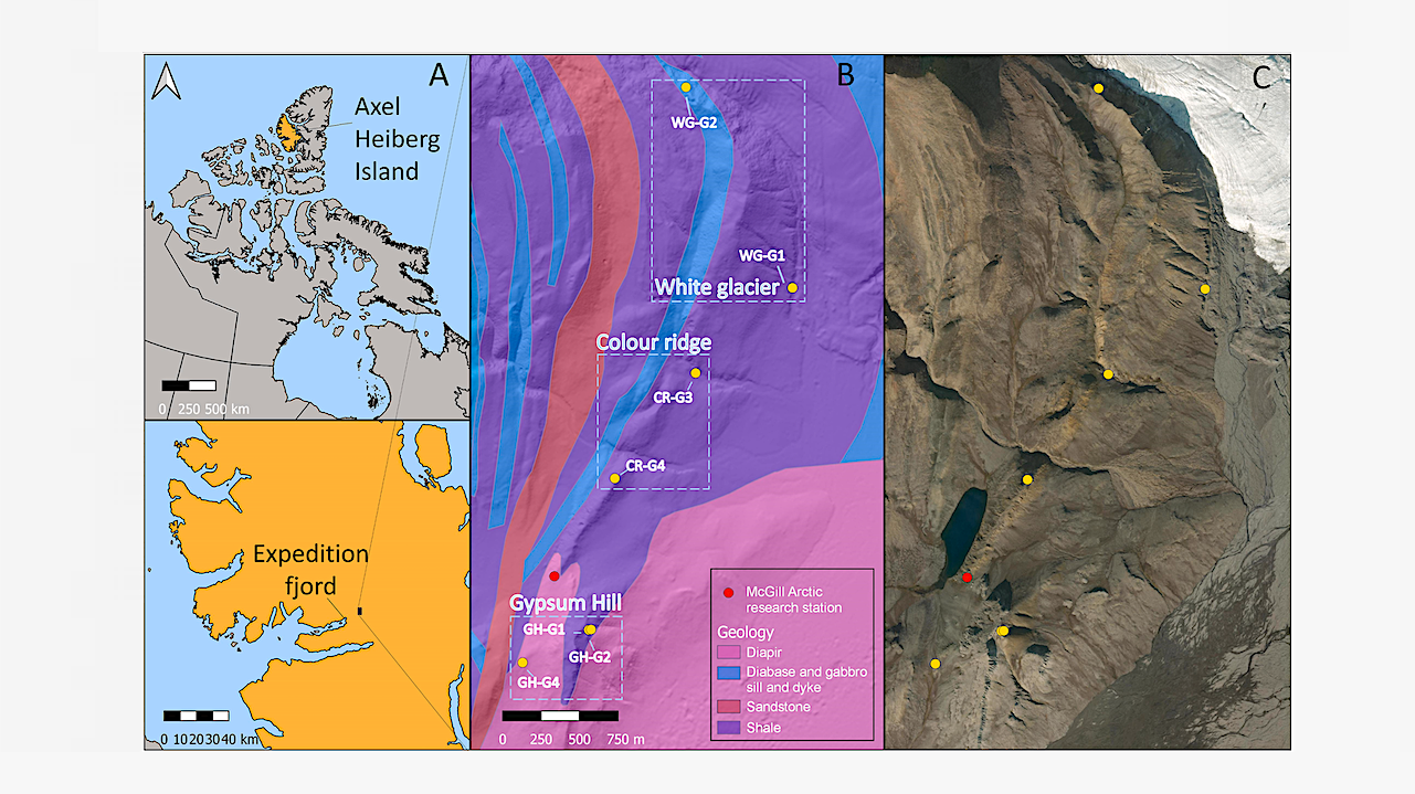 Mineralogy, Geochemistry And Morphology Of Arctic Gossans On Axel Heiberg Island, NU, Canada: Spectroscopic Investigation And Implications For Mars