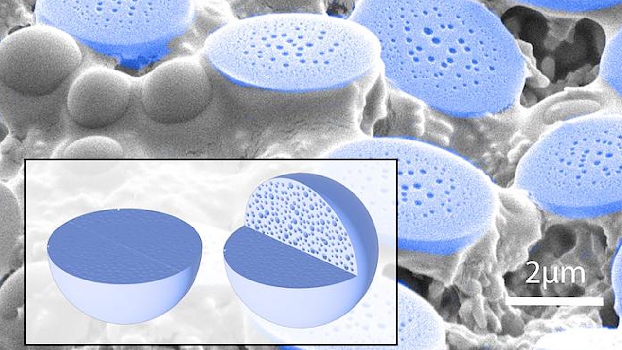 New Study Reveals Simple Peptides Can Mimic Nature’s Protein Protection Strategy