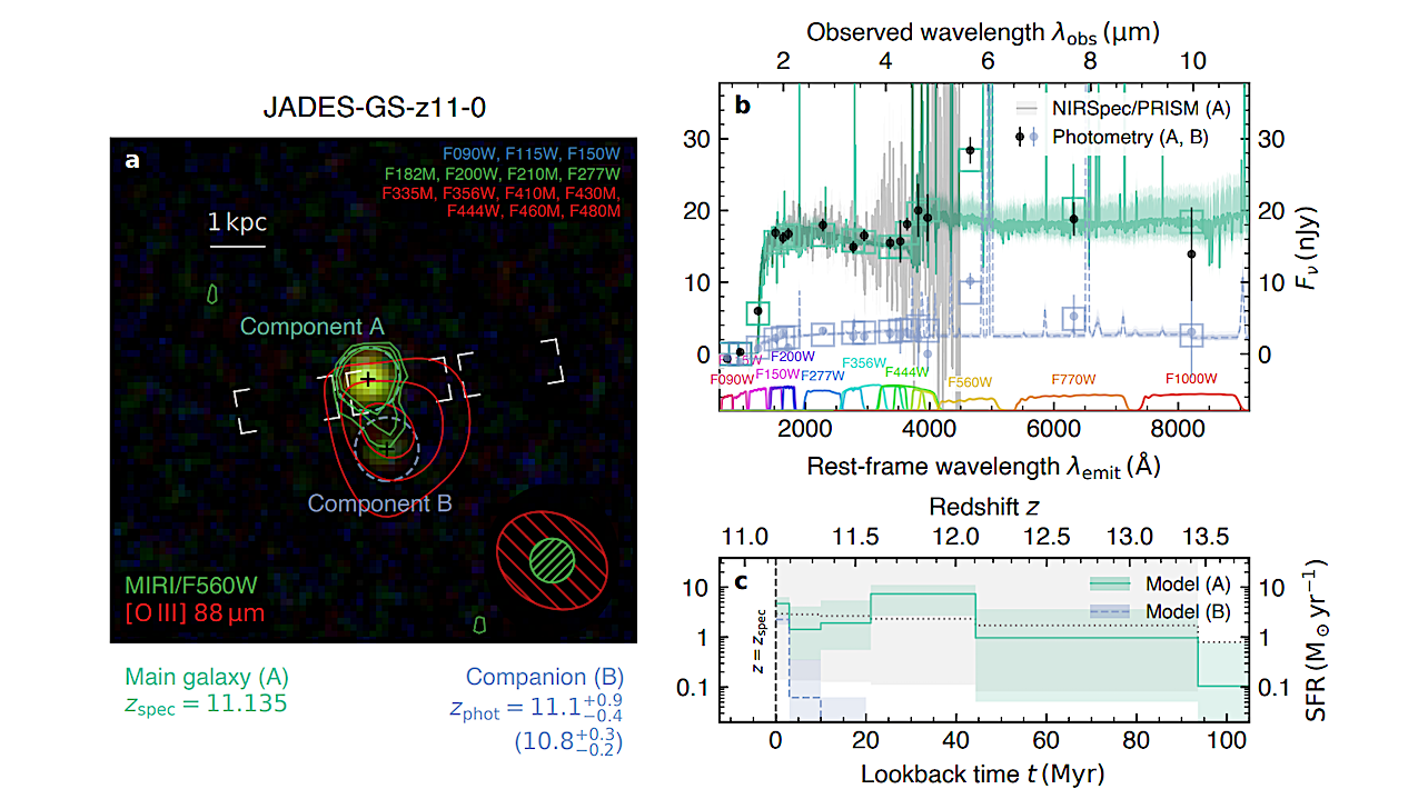 On The Origins Of Oxygen: ALMA And JWST Characterise The Multi-phase, Metal-enriched, Star-bursting Medium Within A ‘Normal’ z>11 Galaxy