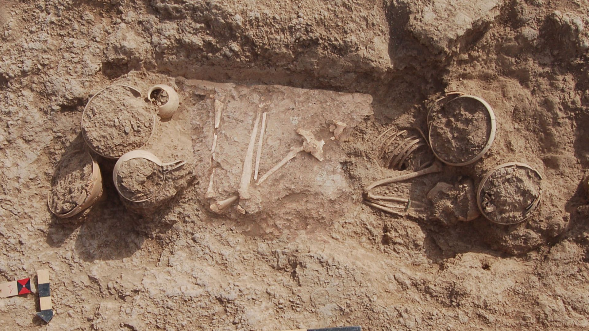 Rich Bronze Age grave from Iran hints ancient woman’s power status