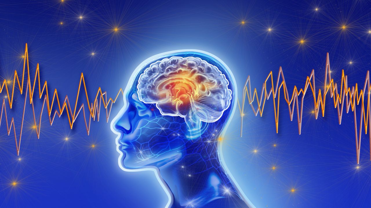 Why does your mind goes ‘blank’? New brain scans reveal the surprising answer