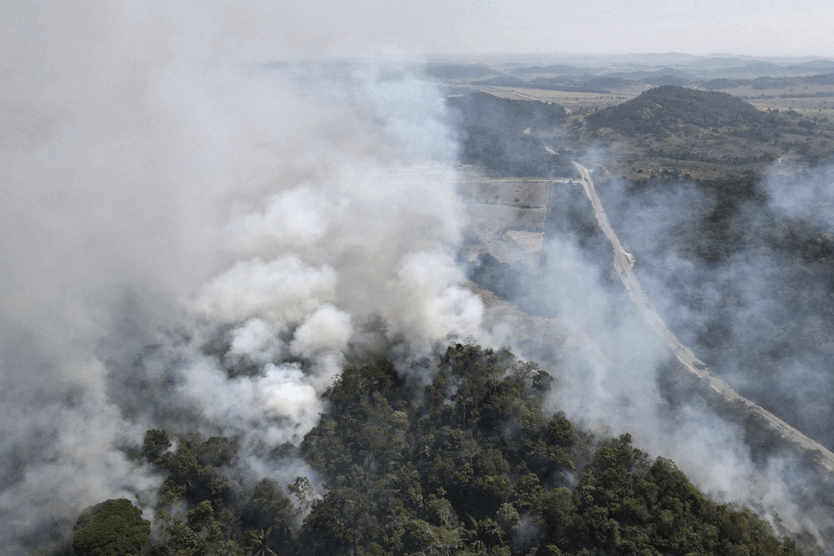 Court convictions are the exception in Amazon land-grabbing cases, study shows