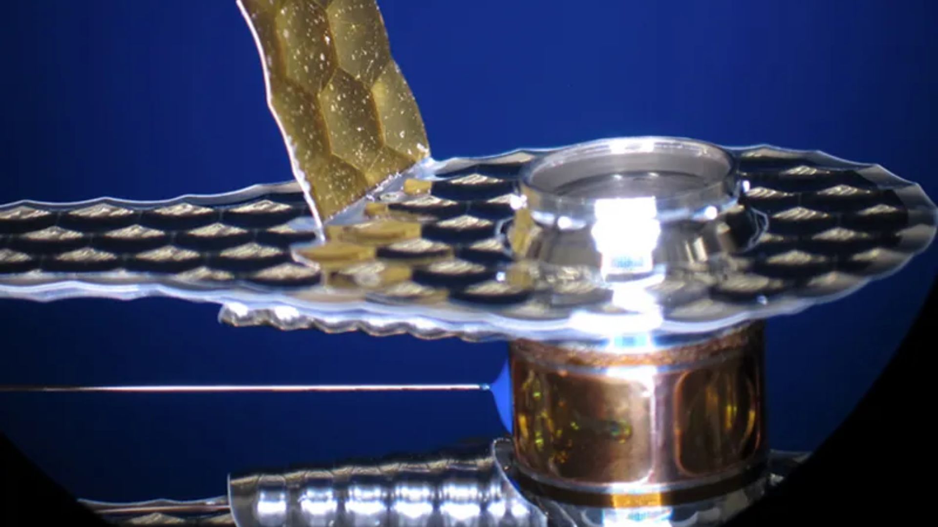 US fusion ignition propels with THOR’s ‘burning plasma’ breakthrough