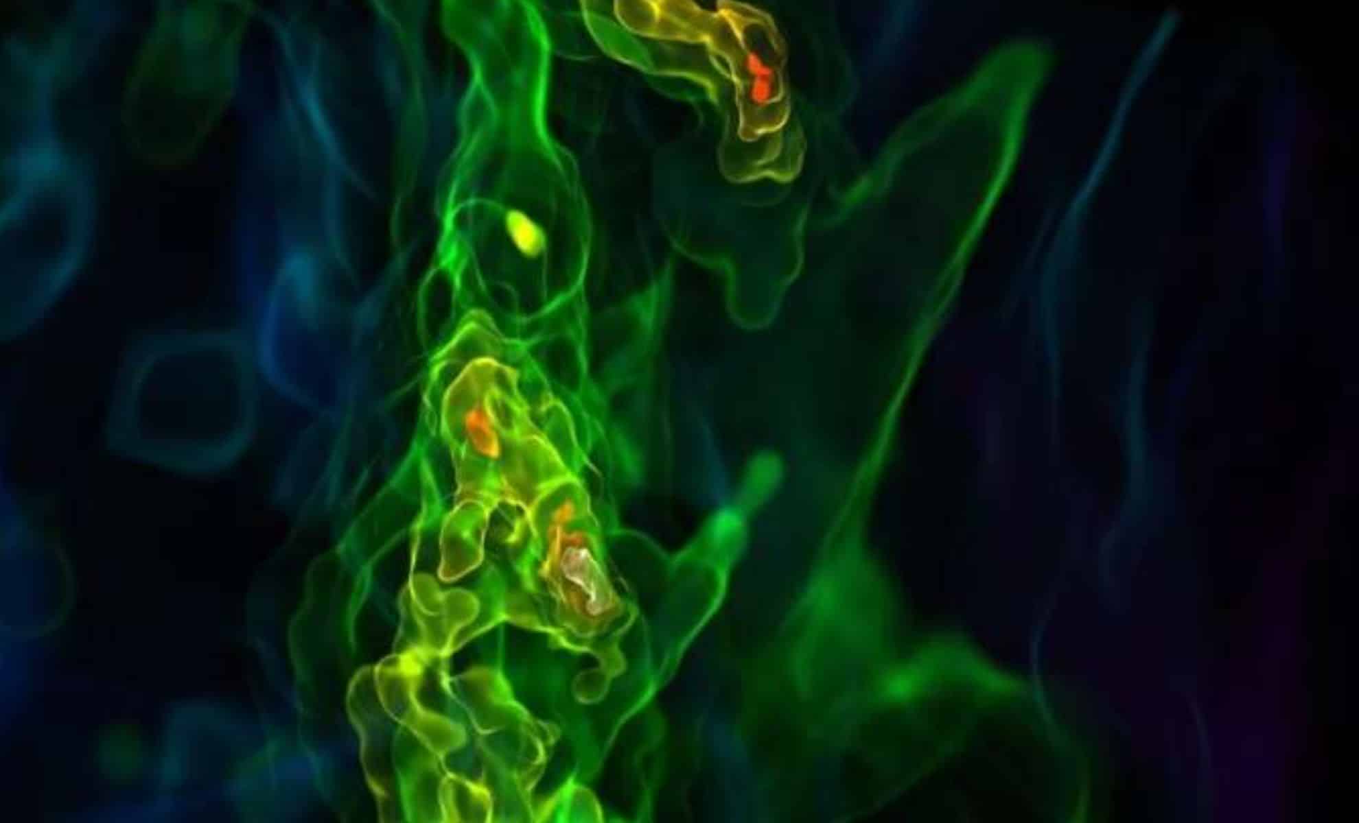 The Universe’s Very First Stars Reveal An Unexpected Cosmic Chaos