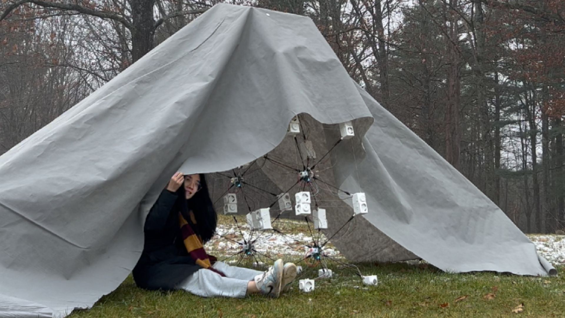 Ant-inspired robots assemble bridges and stretchers outdoors
