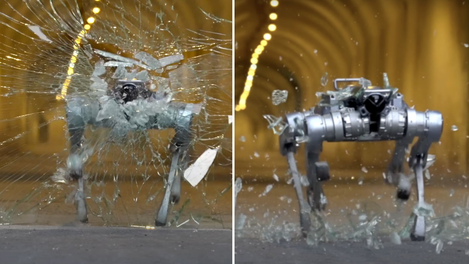 Unitree’s glass-shattering robot dog scales slopes, carries loads