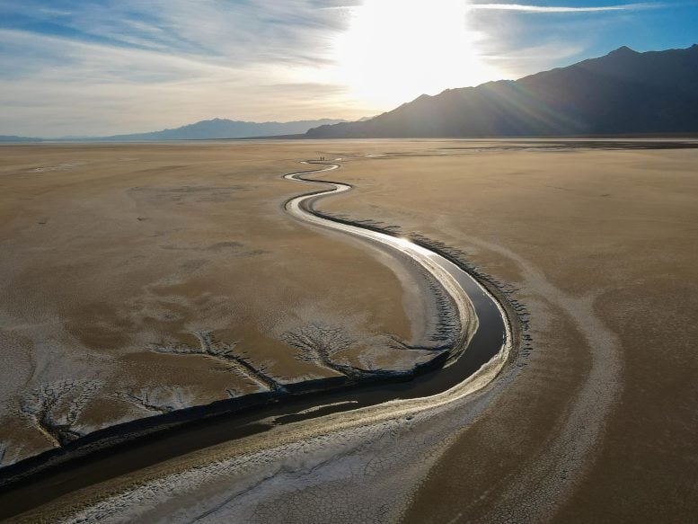 Stanford Study Overturns Long-Held Belief About Plants and Rivers