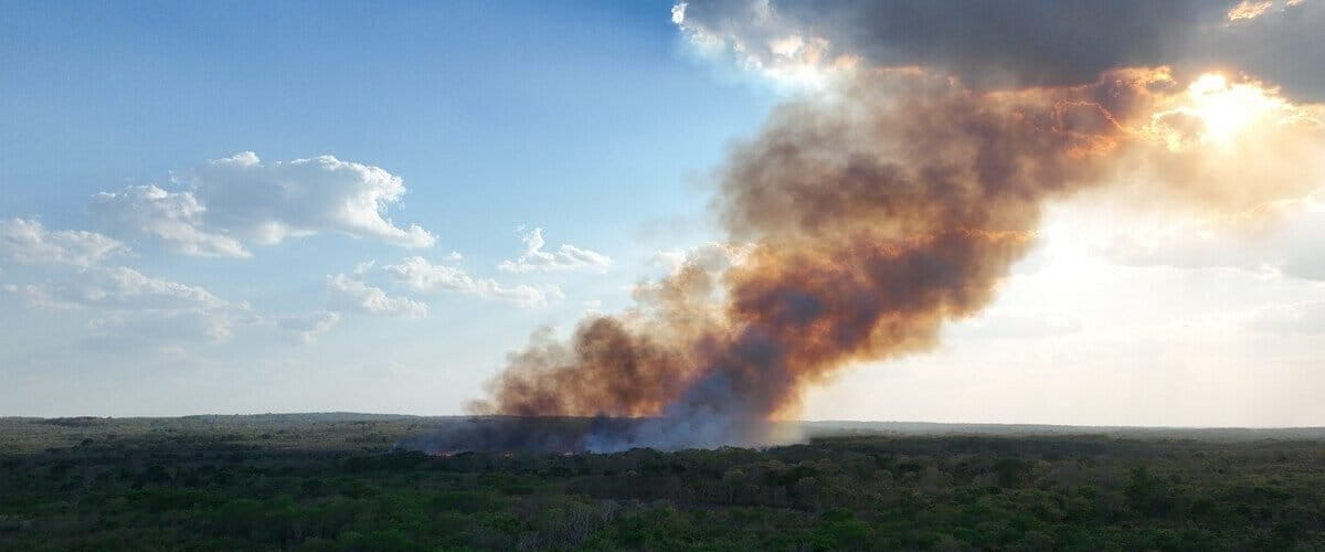 Officials struggle with land invasions in Mexico’s Balam Kú Biosphere Reserve
