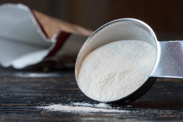 Common Food Additive Solves Decades-Long Neuroscience Problem