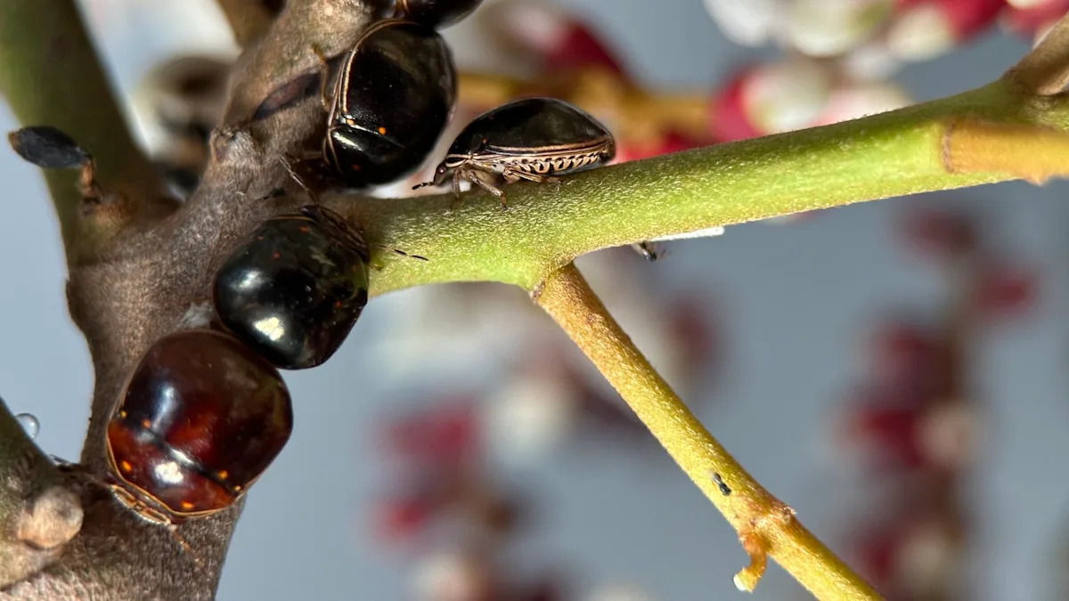 ‘It’s a form of biological investment’