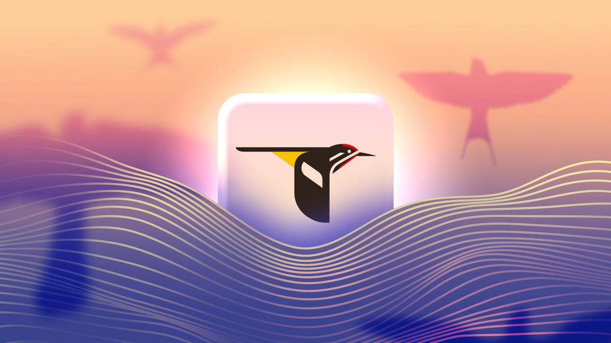 This Bird App Has Grounded Me in the Present More Than My Meditation Apps