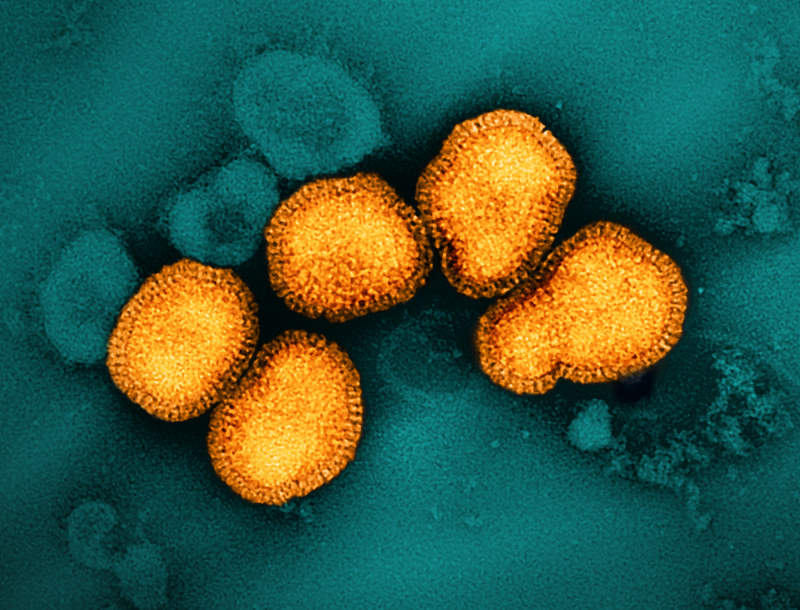 Cells of the Vagus Nerve Defend Against Flu Damage