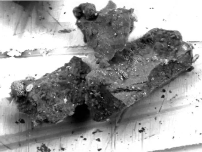 Asteroid Ryugu May Have Experienced Unexpected Heating Events