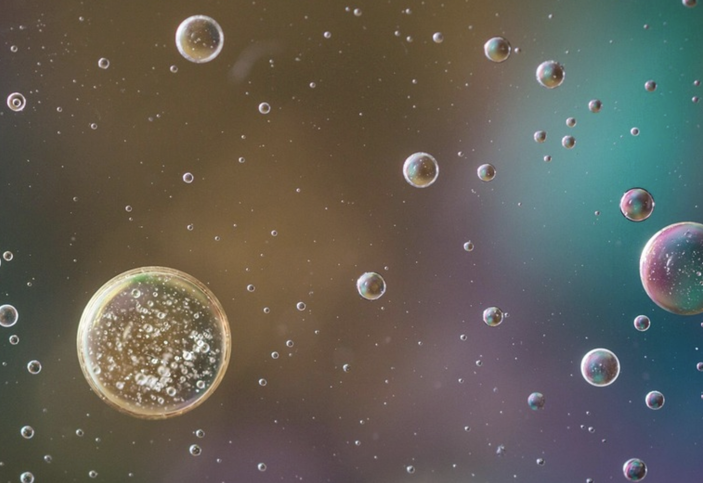 One Microbial Molecule Makes a Big Difference in Immune Reactions