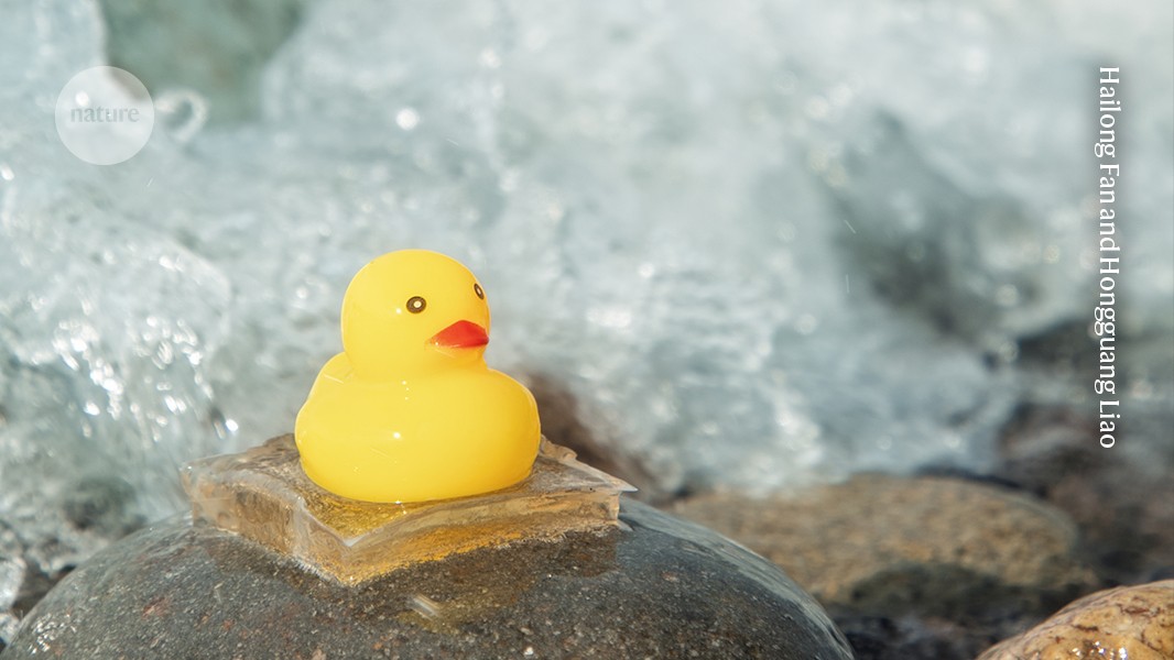 AI learns from nature to design super-adhesive gels that work underwater