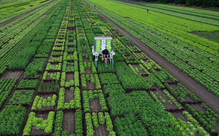 Could these five future agricultural innovations slow down climate change?