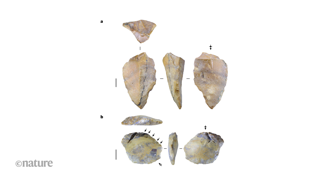 Stone tools suggest that hominins arrived on Indonesian island much earlier than thought