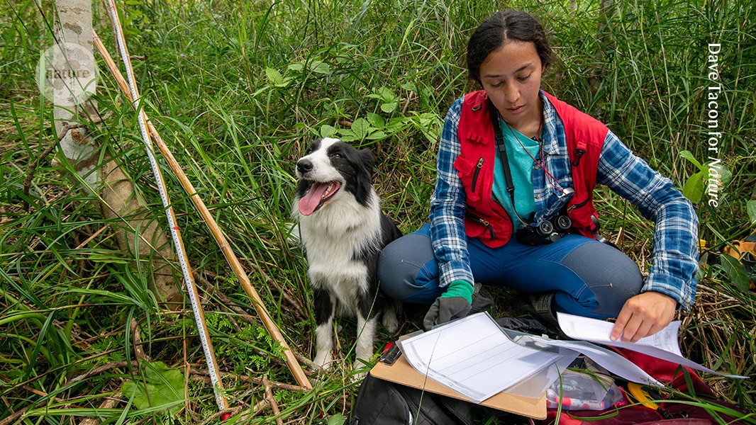 How does a forest return to abandoned land? I travel to find out