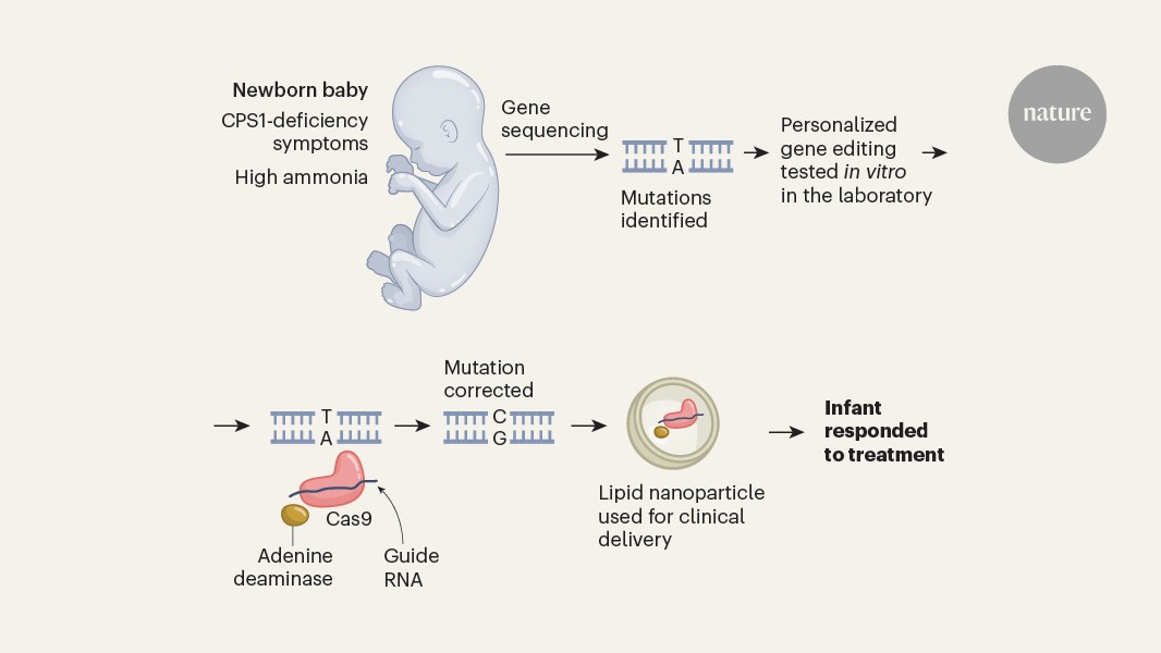 A baby benefits from personalized gene editing in the clinic