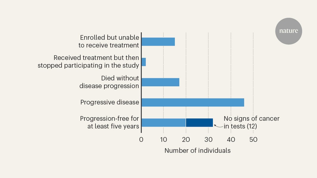 Immunotherapy using CAR T cells shows promising long-term outcomes for people with the blood cancer myeloma
