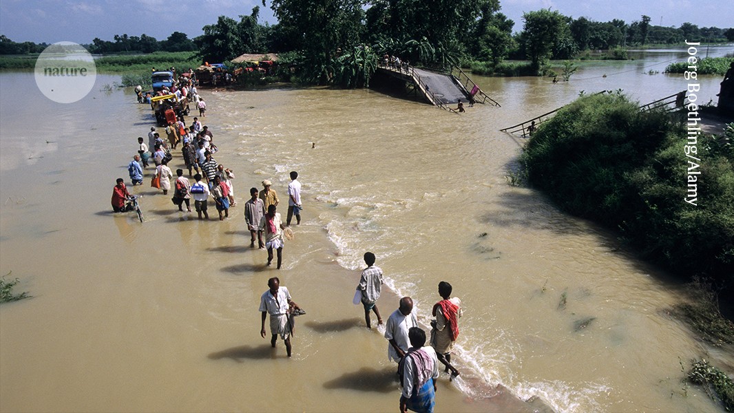 Why amphibious, wet environments hold the key to climate adaptation