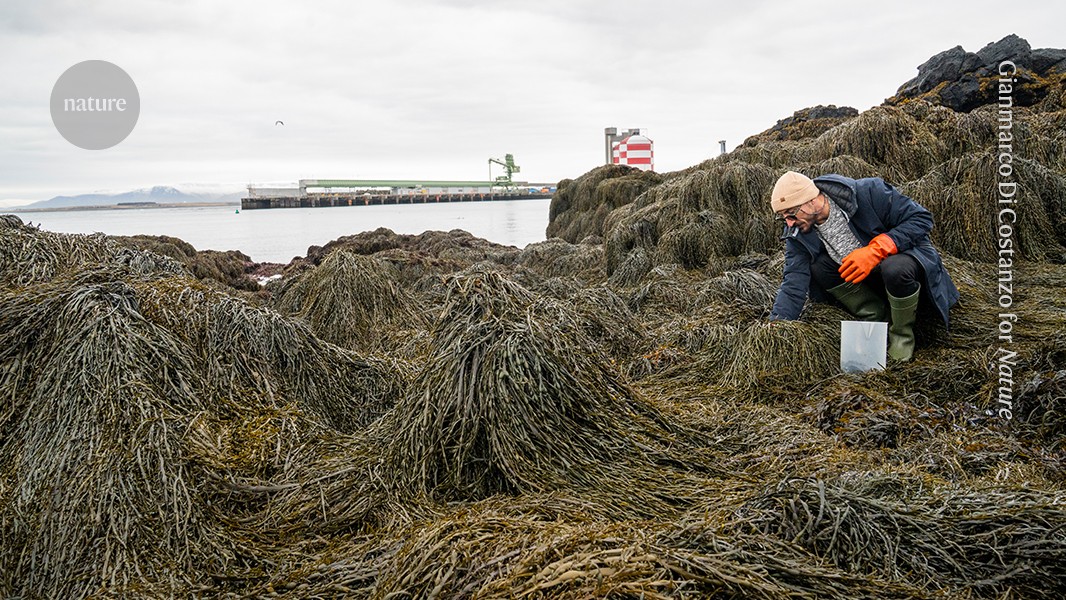 I trawl coastlines to study the impacts of microplastics on marine life
